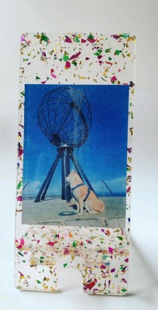 Hund mobilholder